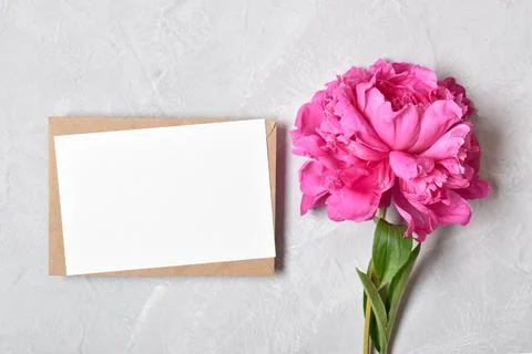 The layout is made of a kraft envelope and the color of a peony on a gray bac Stock Photos