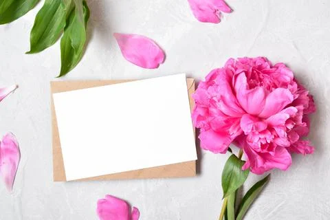 The layout is made of a kraft envelope and the color of a peony on a gray bac Foto stock