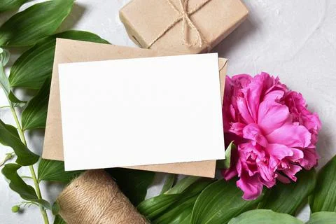 The layout is made of a kraft envelope and the color of a peony on a gray bac Stock Photos
