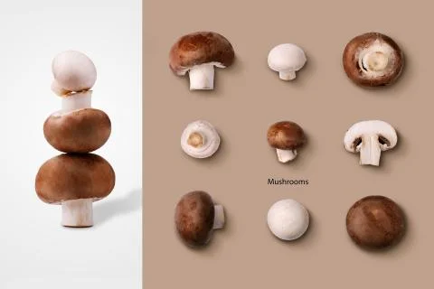 Layout made of mushrooms Stock Photos