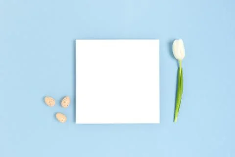 Layout of paper card, easter eggs and flower on a blue pastel background. Foto stock