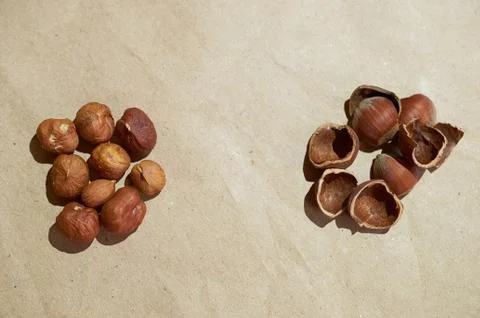 Layout of peeled kernels and hazelnut shells on a brown background Stock Photos