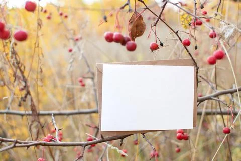 The layout of the postcard on the background of an autumn apple tree with a p 库存照片
