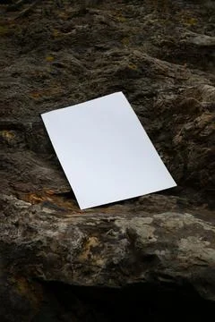 Layout of a poster on a stone brown background. White blank with space for .. Stock Photos