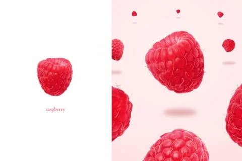 Layout raspberries Stock Photos