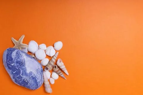 Layout, searock and seashells on an orange background Foto stock
