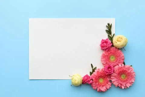 The layout of spring flowers on a blue background, white space for text, moca Stock Photos
