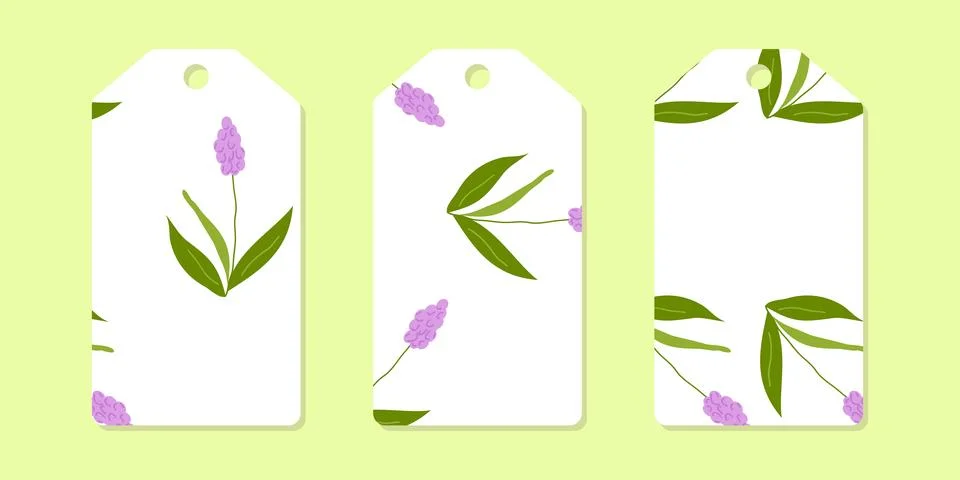 Layout template of colored labels for clothes Stock Illustration