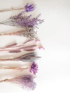 Layout of violet flowers. Top view. A place for text. White background. The Foto stock
