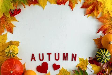 Layout on a white background from autumn colored maple leaves and decorative Foto stock