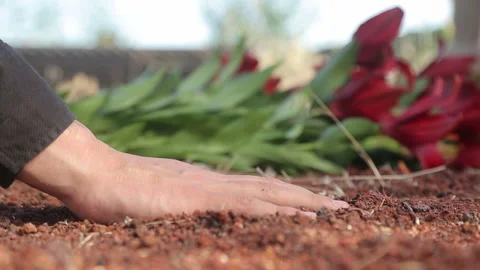 Lays a hand on the ground of the grave Stock Footage 269689351