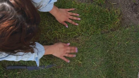 Lays a rolled lawn in the yard Stock Footage 310871339