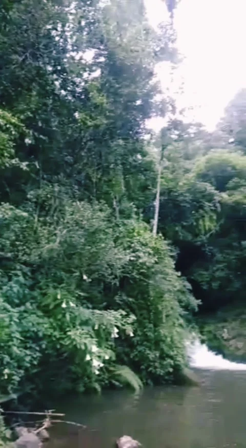 Layung waterfall Stock Footage 277415020