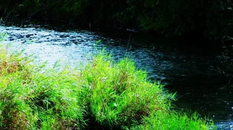 Lazy Country Stream Stock Footage 1042327