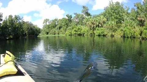 Lazy Day on the River Stock Footage 66542915