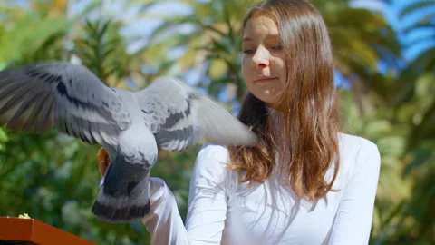 Lazy Passing of Time. Stock Footage 151056177