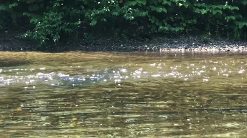 Lazy River Stock Footage 288041798