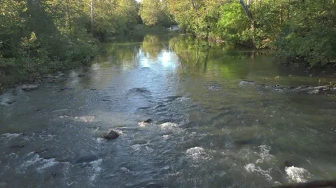 Lazy River with Reflection Video stock 69000024