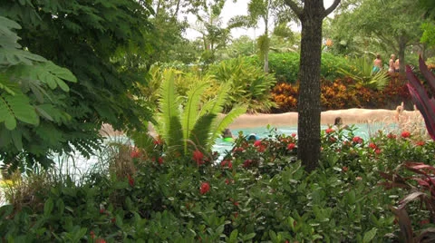 Lazy River at Water Park Nestled in a Lush Tropical Garden Stock Footage 24986416