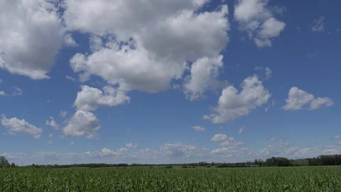 Lazy Summer Fields and Clouds TIme lapse Stock Footage 91998491