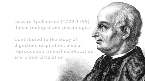 Lazzaro Spallanzani (with text) Vídeo Stock 259318057