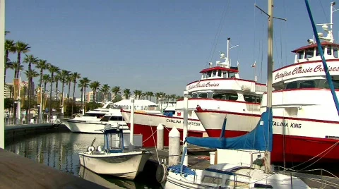 Lb1 Stock Footage 301407