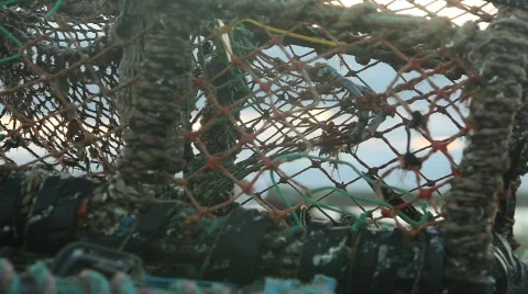 Lbster pots with Castle 스톡 동영상 565071