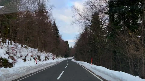 LD Car driving on a road surrounded by forest Stock Footage 232751239