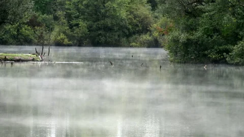LD Clouds of mist moving across the lake Stock Footage 150203146