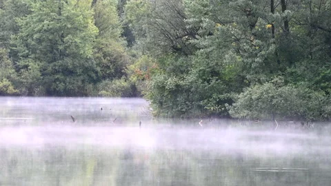 LD Clouds of mist rolling across the lake in the morning Stock Footage 150202744