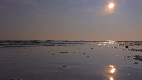 LD Gentle waves licking the sandy shoreline Stock Footage 233829507
