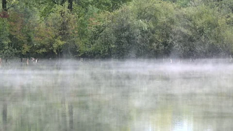 LD Hazy lake Stock Footage 150202248