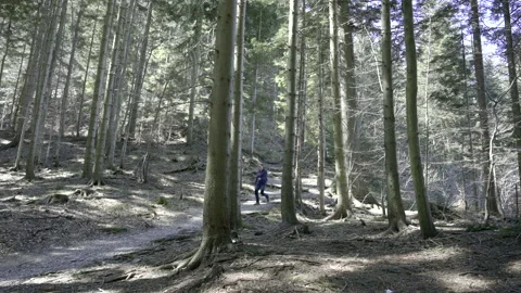 LD Hiker walking down a mountain on a nice forest path Stock Footage 151845537
