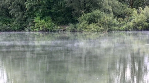 LD Mist on a lake Stock Footage 150203912