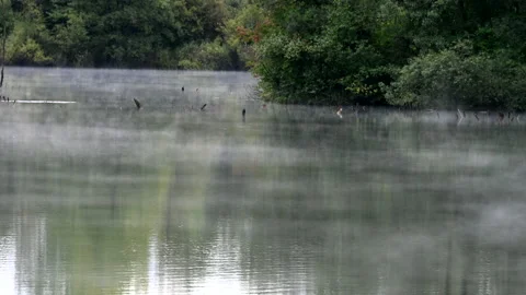 LD Mist rolling across the lake surface Stock Footage 150203419