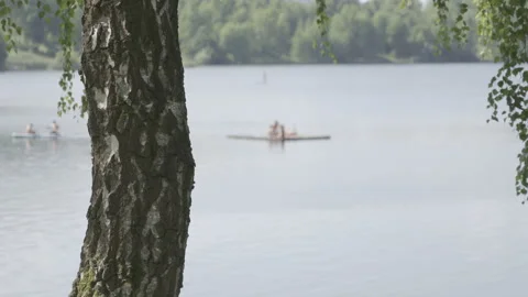 LD People rowing on the lake Stock Footage 160144276