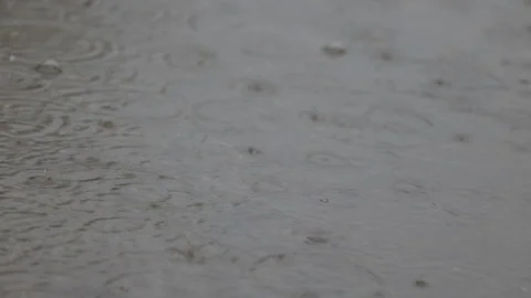 LD Puddle in a rainfall Stock Footage 270281853