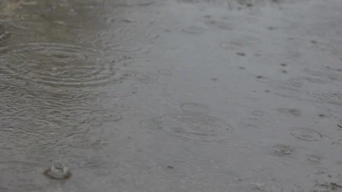 LD Raindrops forming bubbles in a puddle Stock Footage 270281555