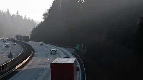 LD Spruce tree and highway traffic Stock Footage 123608547