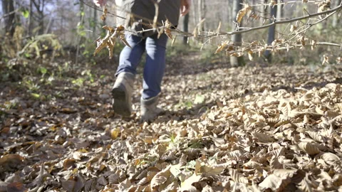 LD Woman walking up a forest path on a sunny day in autumn Stock Footage 146467989
