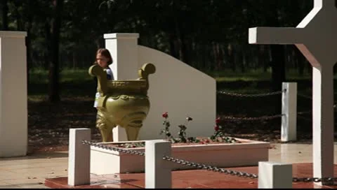 LDA P 00300 Video stock 9563002