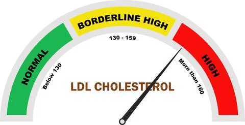 LDL Cholesterol High Level, High Cholesterol Test, LDL Cholesterol Test, Ch.. Stock Illustration