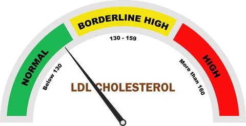 LDL Cholesterol Level, Cholesterol Test, LDL Cholesterol Test, Cholesterol .. Stock-Illustration