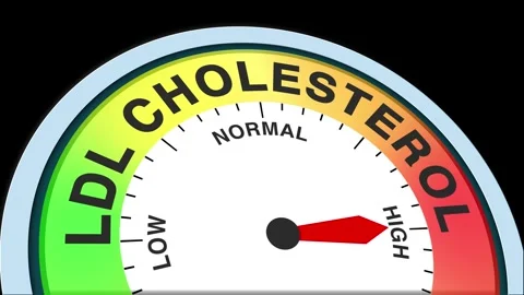 LDL Cholesterol Level Text or Word  Low and Medium to High Meter Concept Stock Footage 288658194