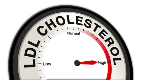 LDL Cholesterol Text or Word Level Low Normal High - Barometer or Tachometer Stock Footage 308795564