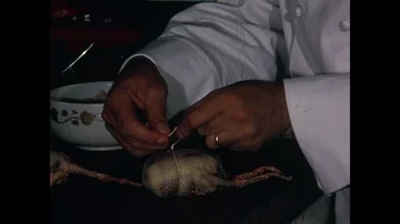 At le Grand Vefour restaurant chef trusses squab pigeons for roasting, Paris, Stock Footage 85876137