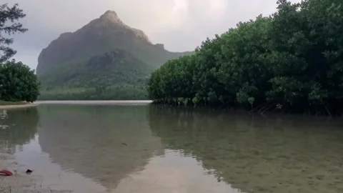 Le Morne inland Stockbeeldmateriaal 333298587