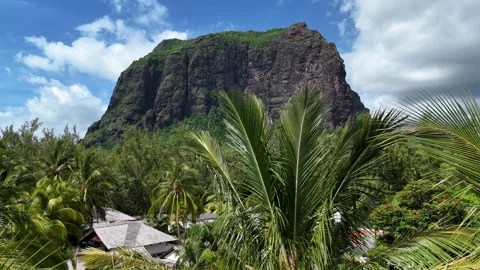 Le Morne mountain behind palm trees and resort rooftops Stock Footage 314505880