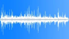 Leachs Petrel And ForkTailedSound Effect