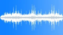 Leachs Petrel And ForkTailedSound Effect